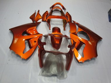 2000-2002 Orange ZX6R Carénage